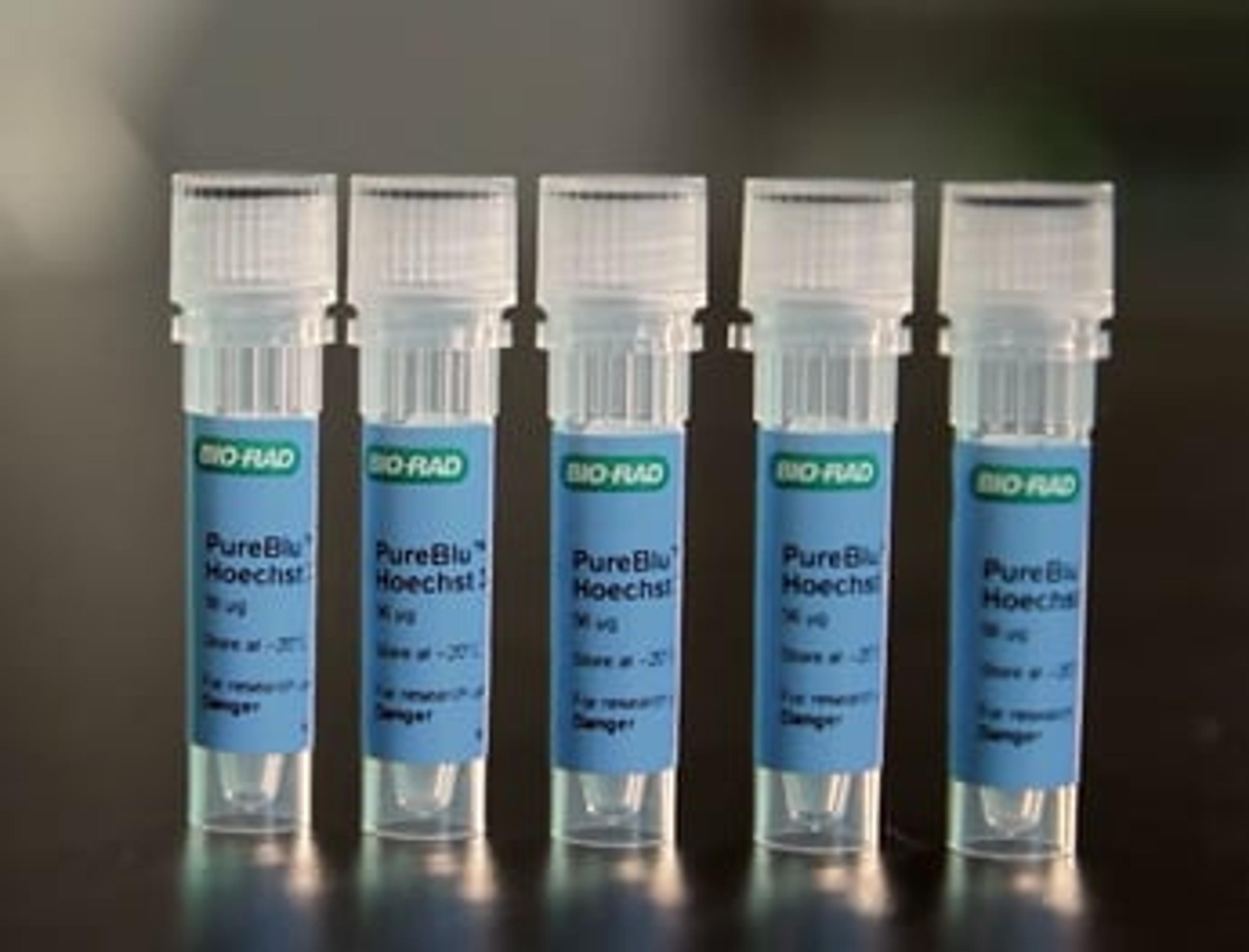 PureBlu™ Hoechst 33342 Nuclear Staining Dye for Live Cells PureBlu™ Hoechst 33342 Nuclear Staining Dye for Live Cells