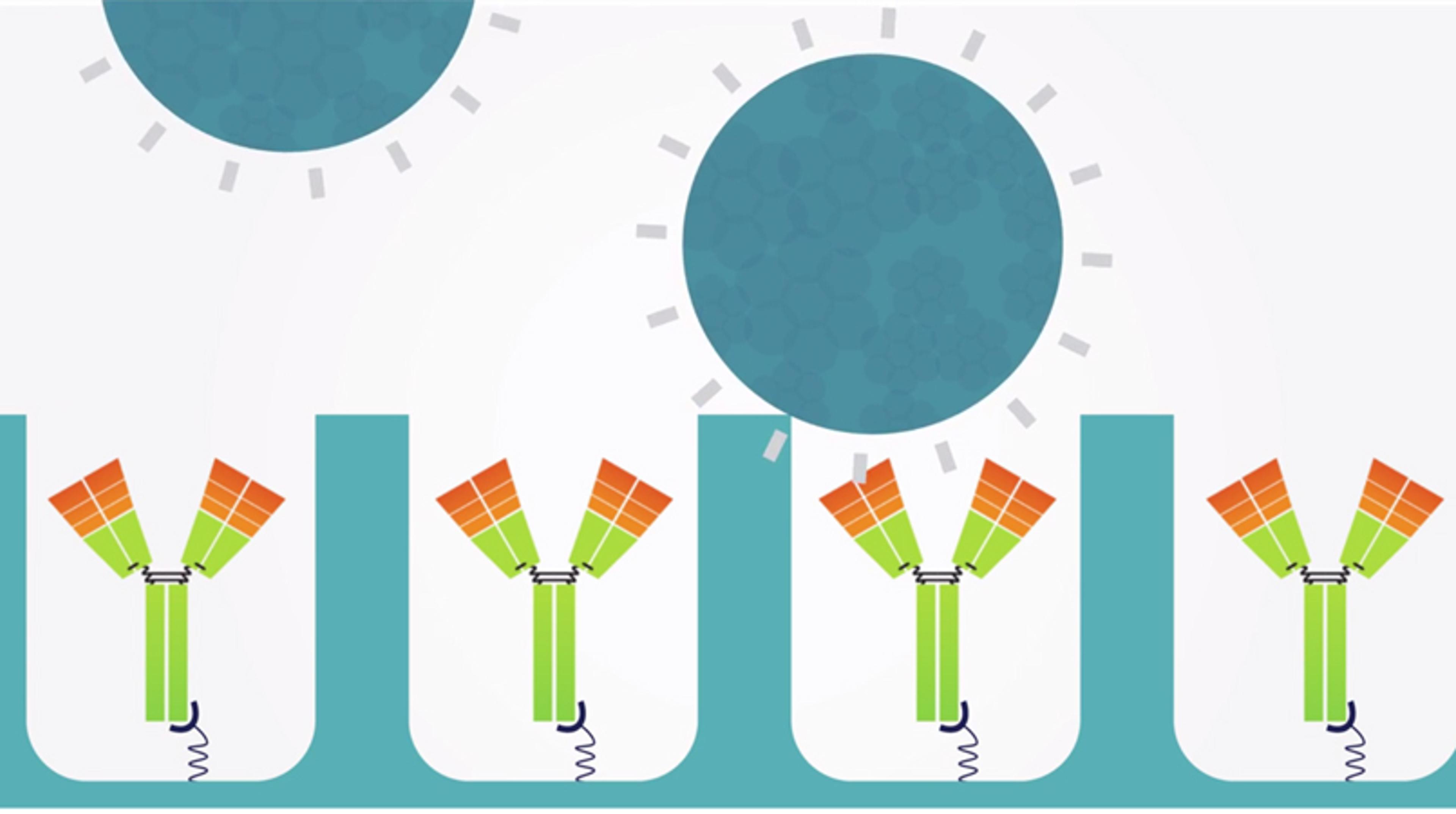 nSMOL – Combining Nano Technology with LC-MS for Improved mAb Analysis nSMOL – Combining Nano Technology with LC-MS for Improved mAb Analysis