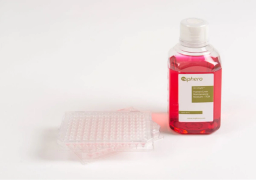 3D InSight™ Human Liver Microtissues - InSphero