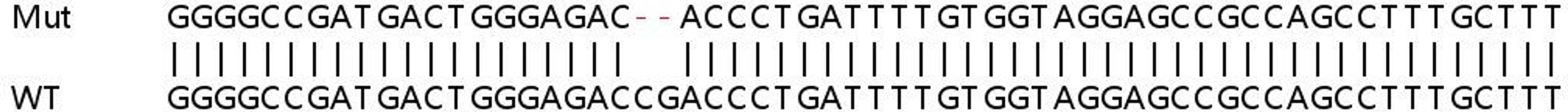 Sanger Seq - CTTN knockout HEK293T