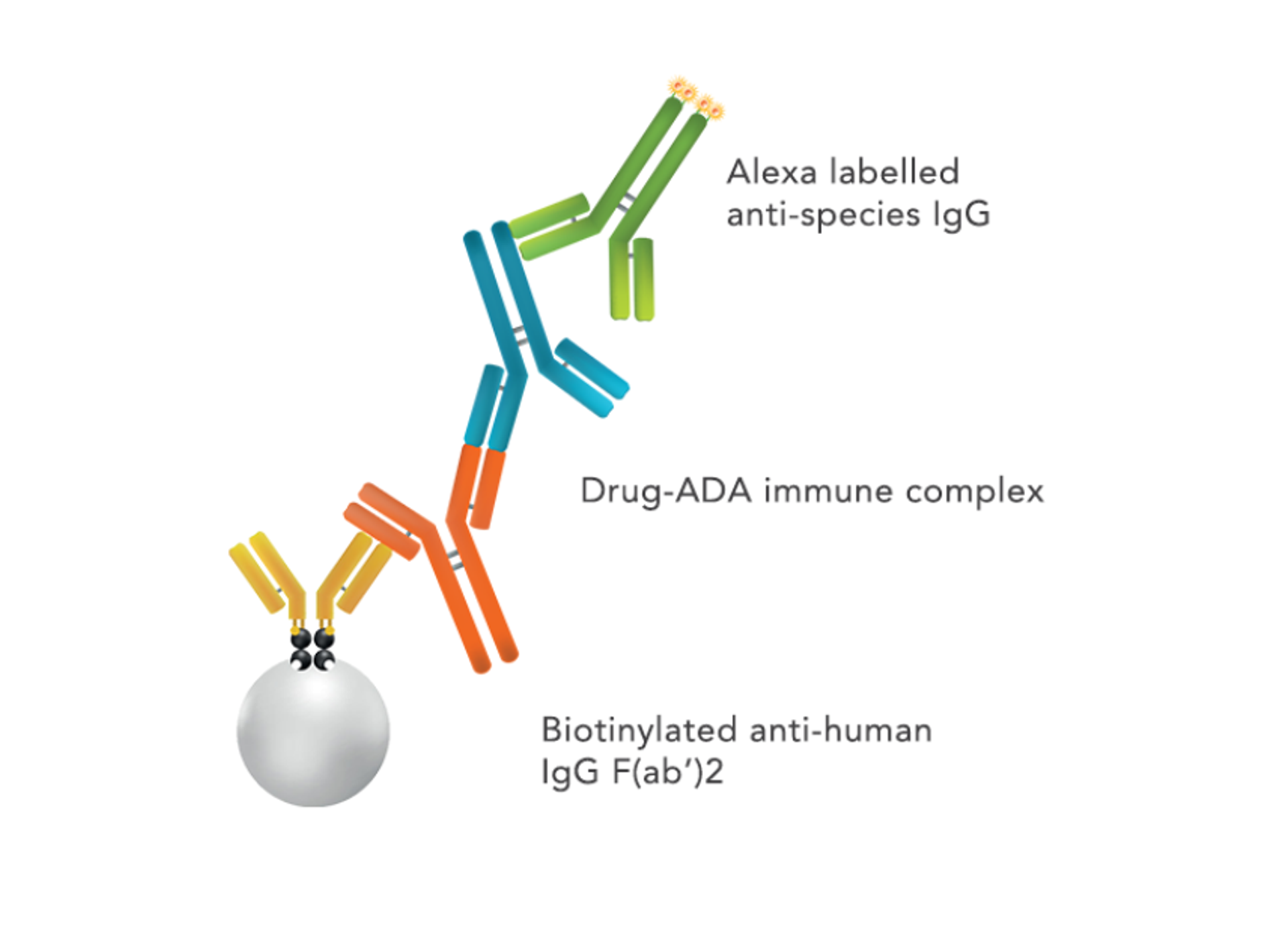ONE-Glo™ Luciferase Assay System