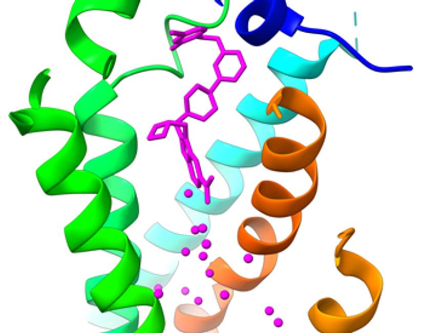 Cryo-EM structure of a protein complex