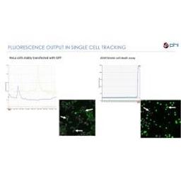 Both single-cell & cell population data