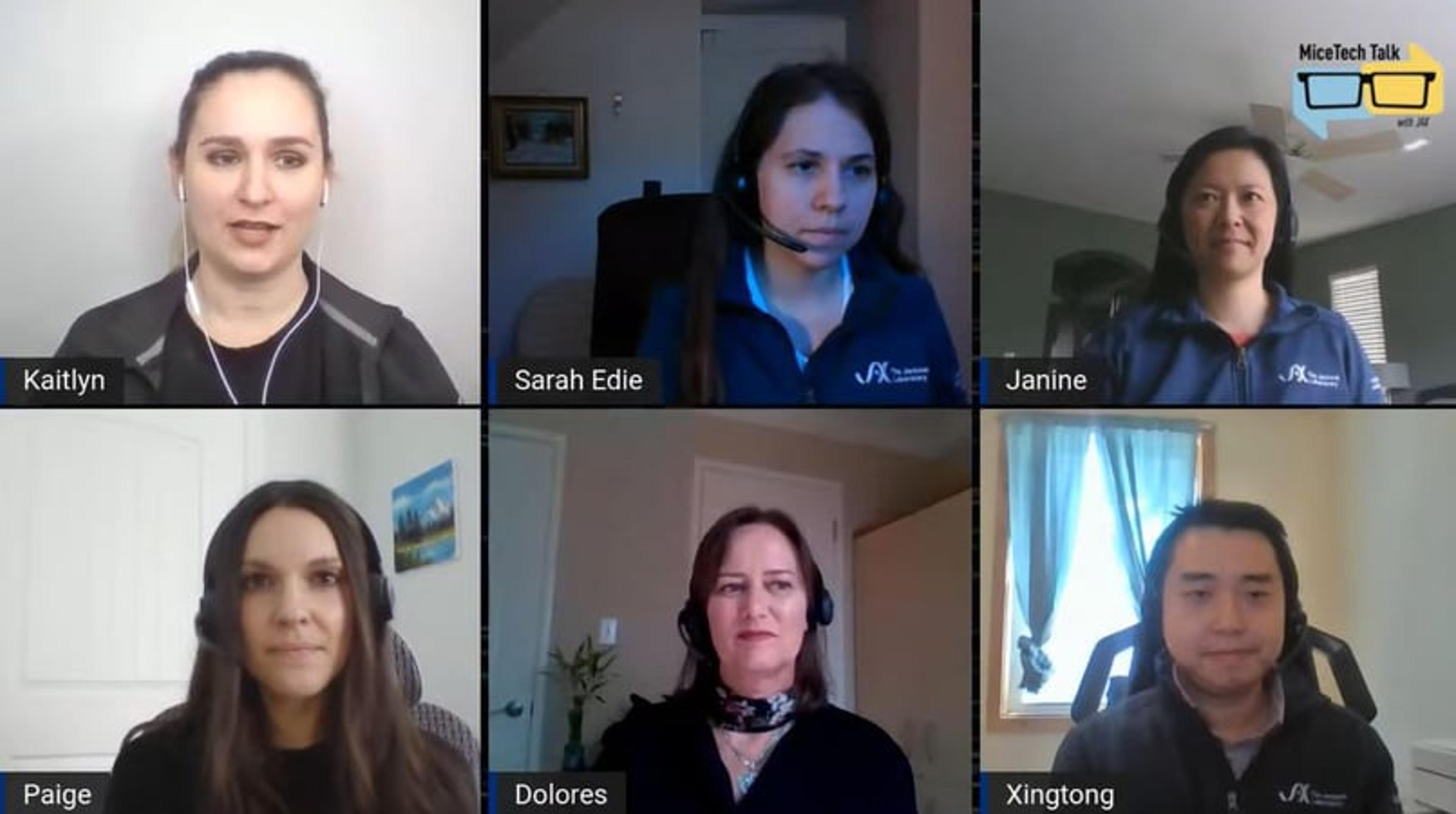 MiceTech Talk, Episode 31: Let's talk COVID mouse models MiceTech Talk, Episode 31: Let's talk COVID mouse models