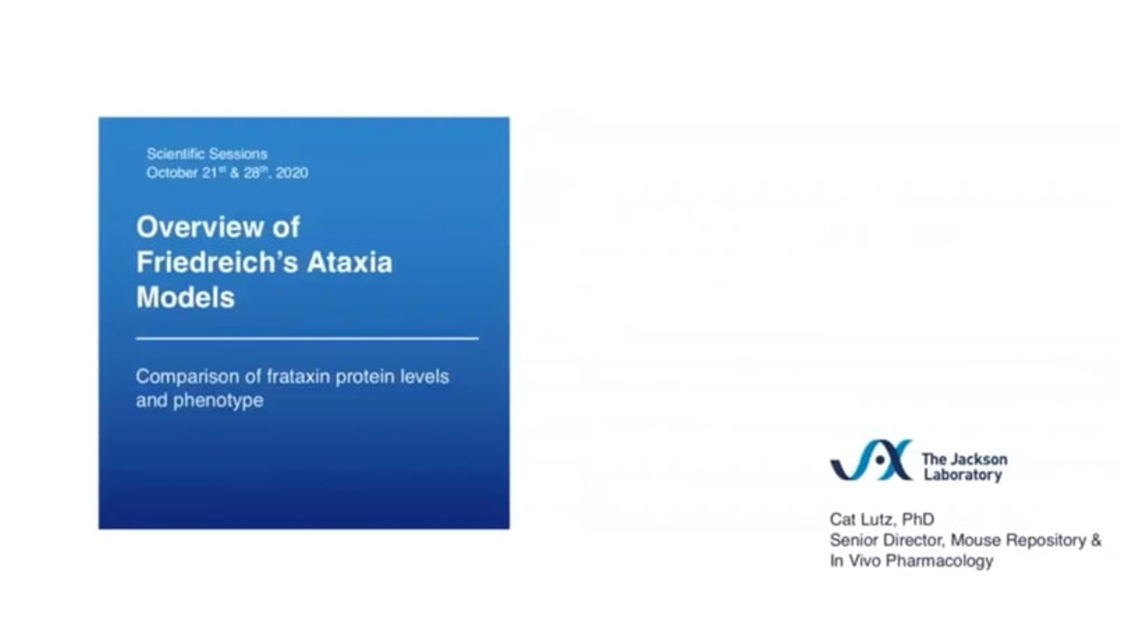 Overview of Friedreich's ataxia models: Comparison of frataxin protein levels and phenotype Overview of Friedreich's ataxia models: Comparison of frataxin protein levels and phenotype