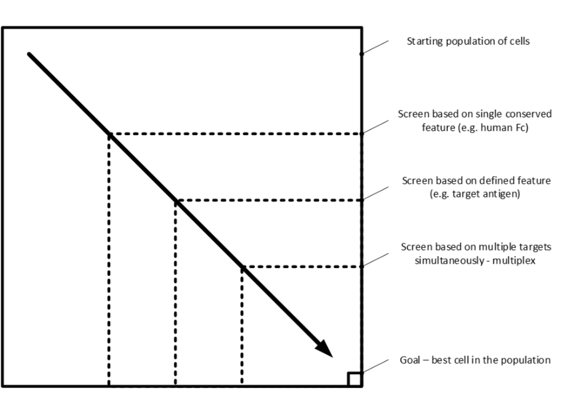 Figure 2: the cell selection challenge – going from the general to the specific as efficiently as possible. Dotted lines represent selection criteria, the better the criteria the closer the boundary to the bottom right-hand corner.