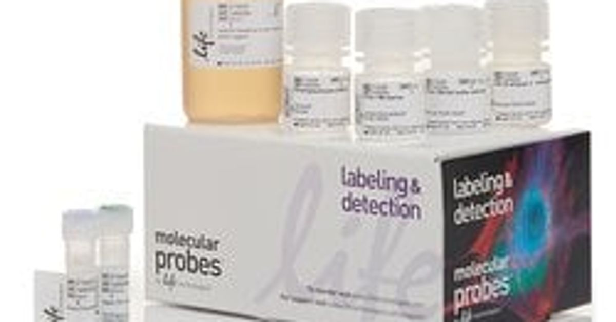 Buy Invitrogen™ Click-iT™ EdU Alexa Fluor™ 488 Flow Cytometry Assay Kit ...