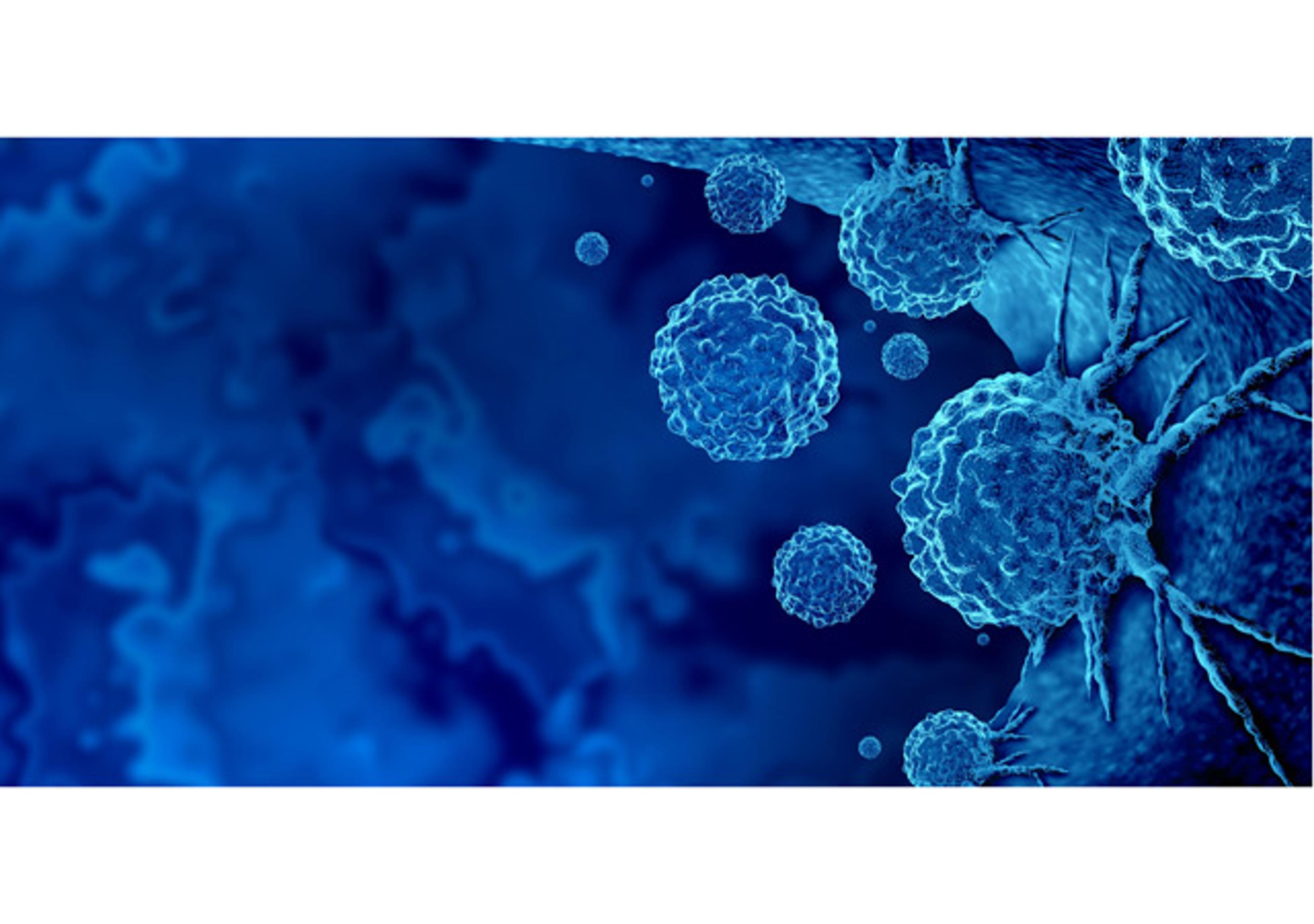 One-Stop CAR-T Therapy Development