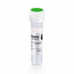 Caspase-3/7 Green Apoptosis Assay Reagent