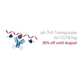 pA-Tn5 Transposase - loaded