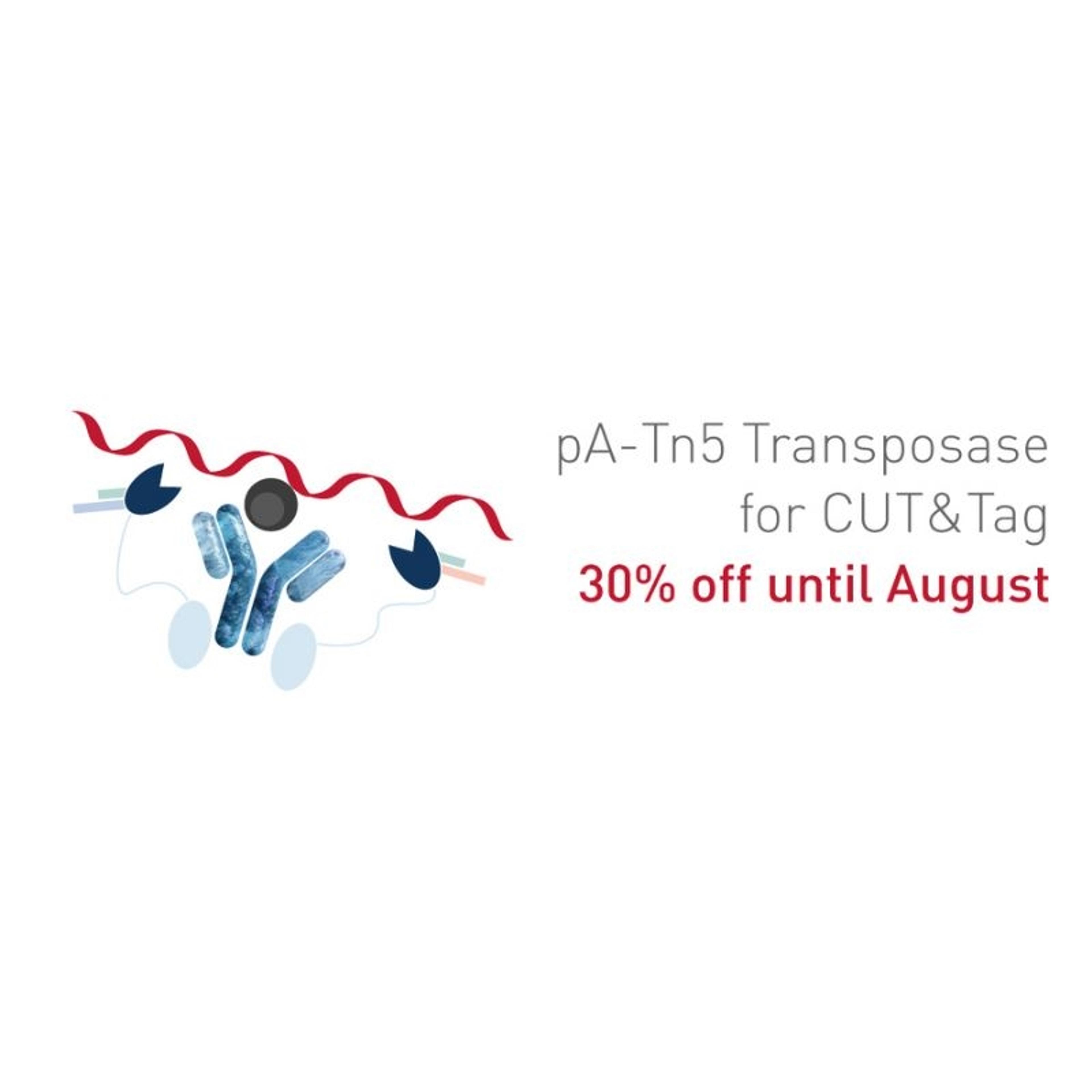 pA-Tn5 Transposase - loaded