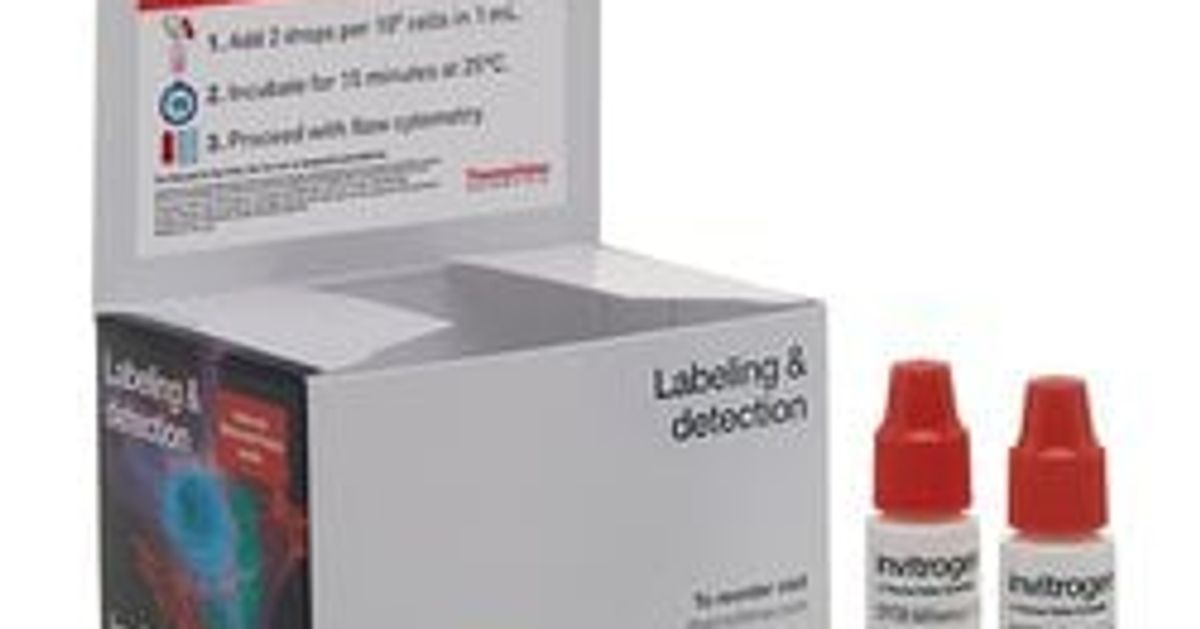 Thermo Scientific™ Pierce™ Rapid Gold BCA Protein Assay Kit