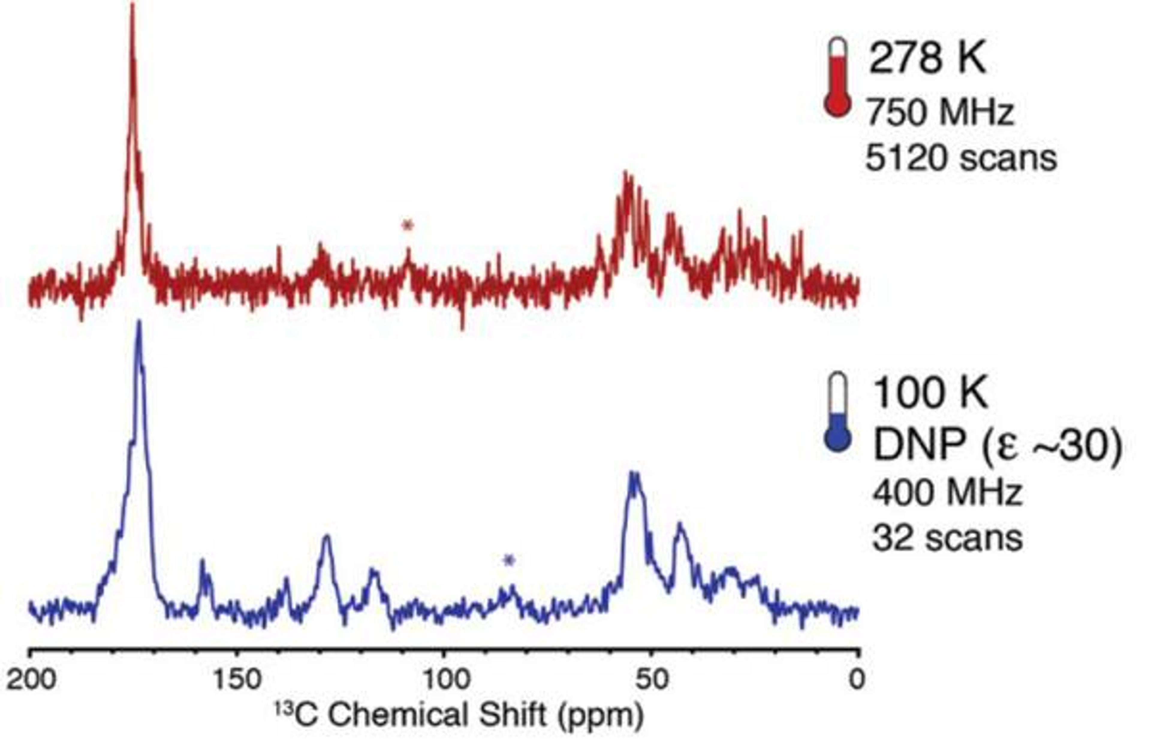 DNP-enhanced NMR in biological solids