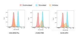 CAS-BIND Pro vs zVAD and QVD-OPH Inhibitors