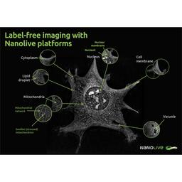 Organelle guide by Nanolive