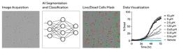 Incucyte AI Cell Health Analysis Software Module Workflow