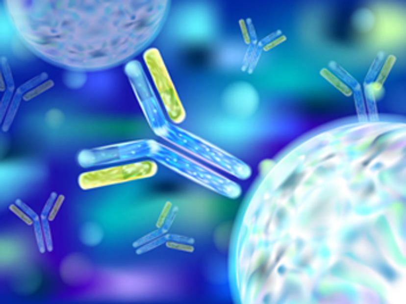 3D representation of an antibody, a key component of lateral flow assay development