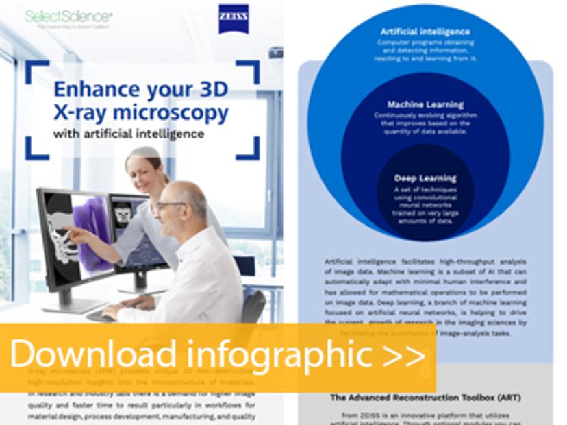 Artificial intelligence for 3D X-ray microscopy infographic preview