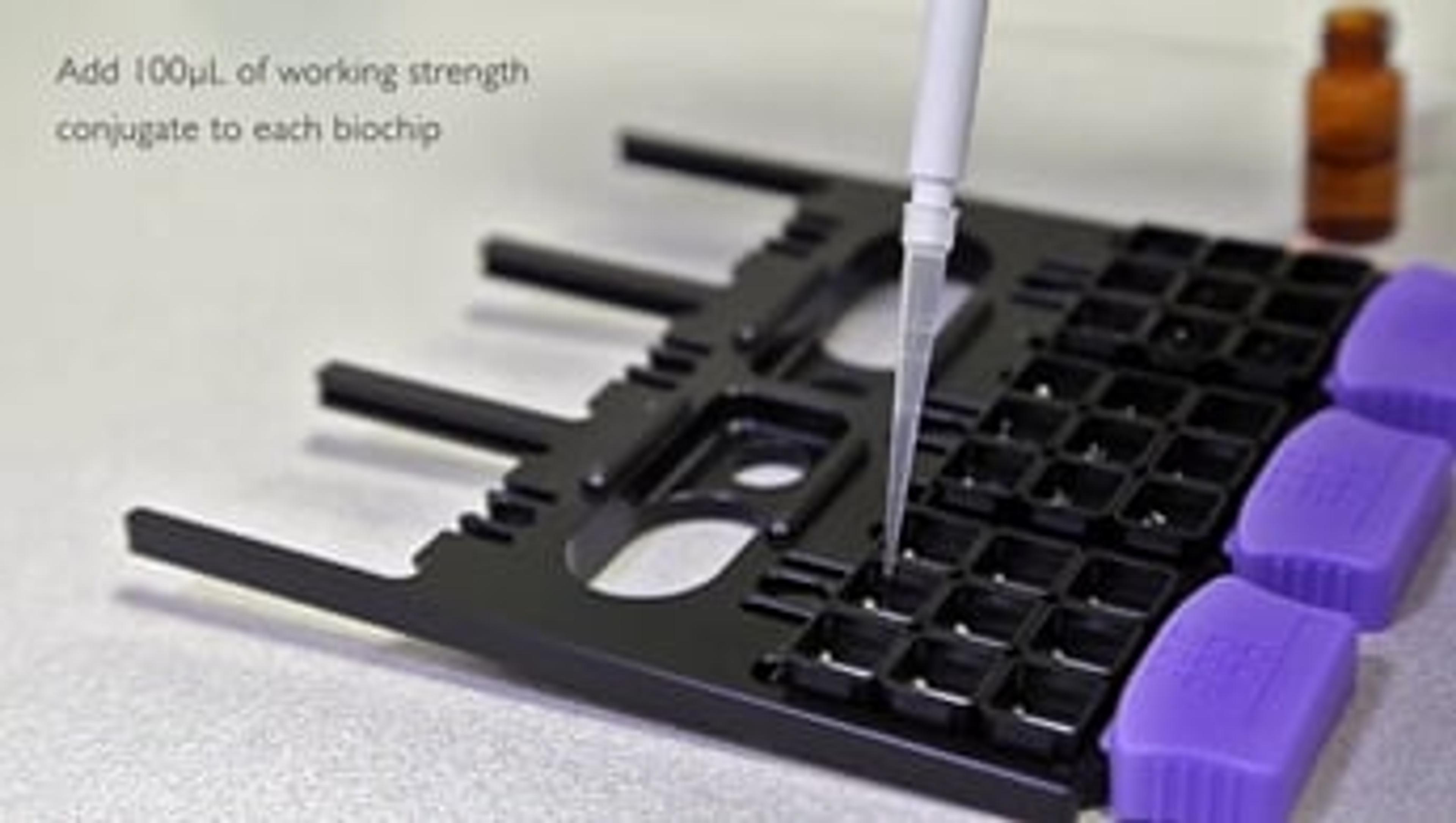Assay Protocol for Randox Food's AM V Biochip Array Assay Protocol for Randox Food's AM V Biochip Array