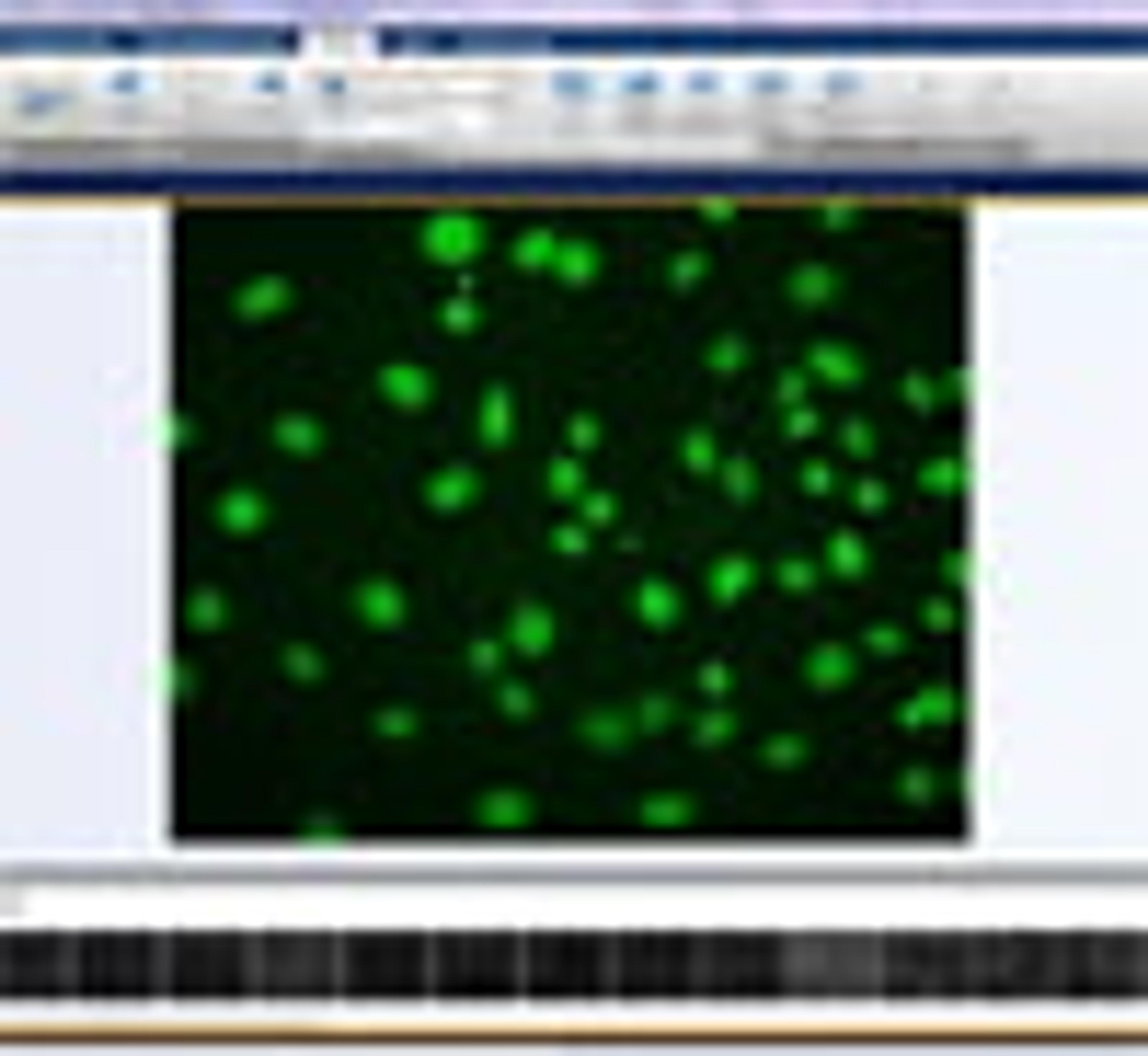 Measuring Data Sets using Count Nuclei Measuring Data Sets using Count Nuclei
