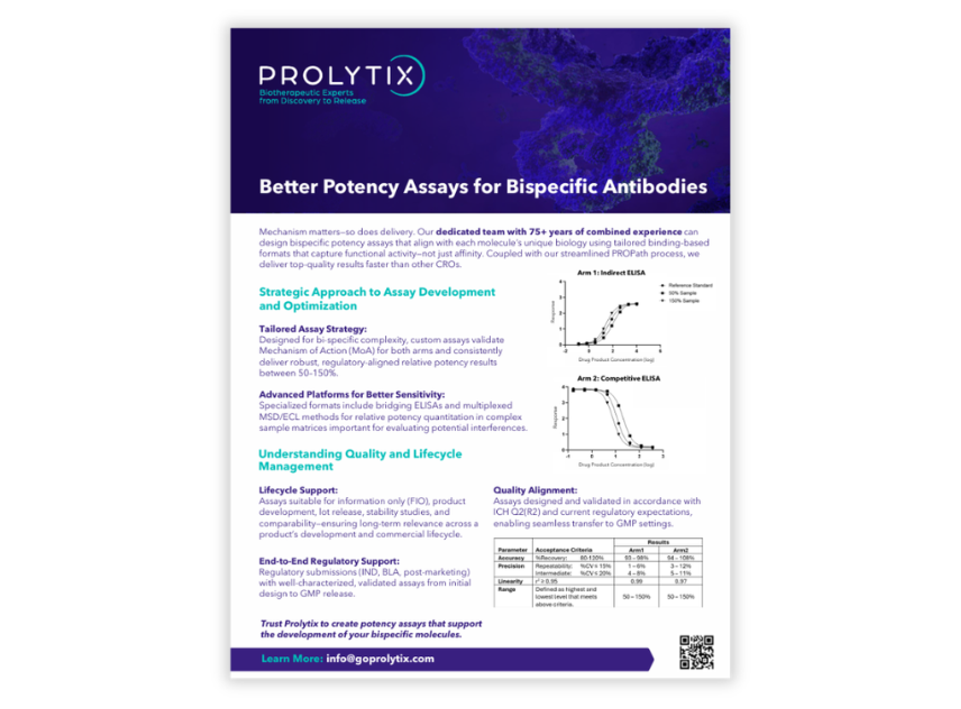 potency assay development services for bispecific antibodies