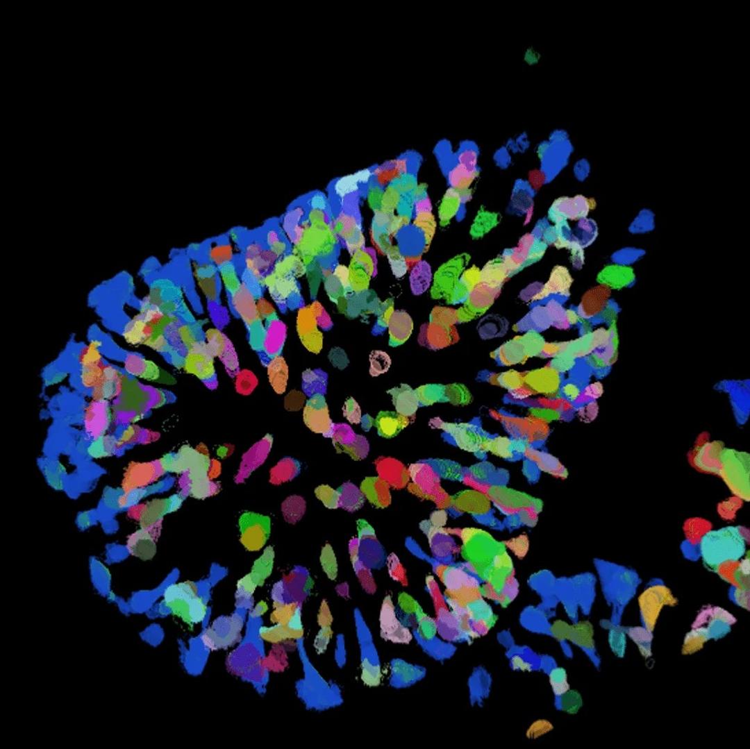 3D biology