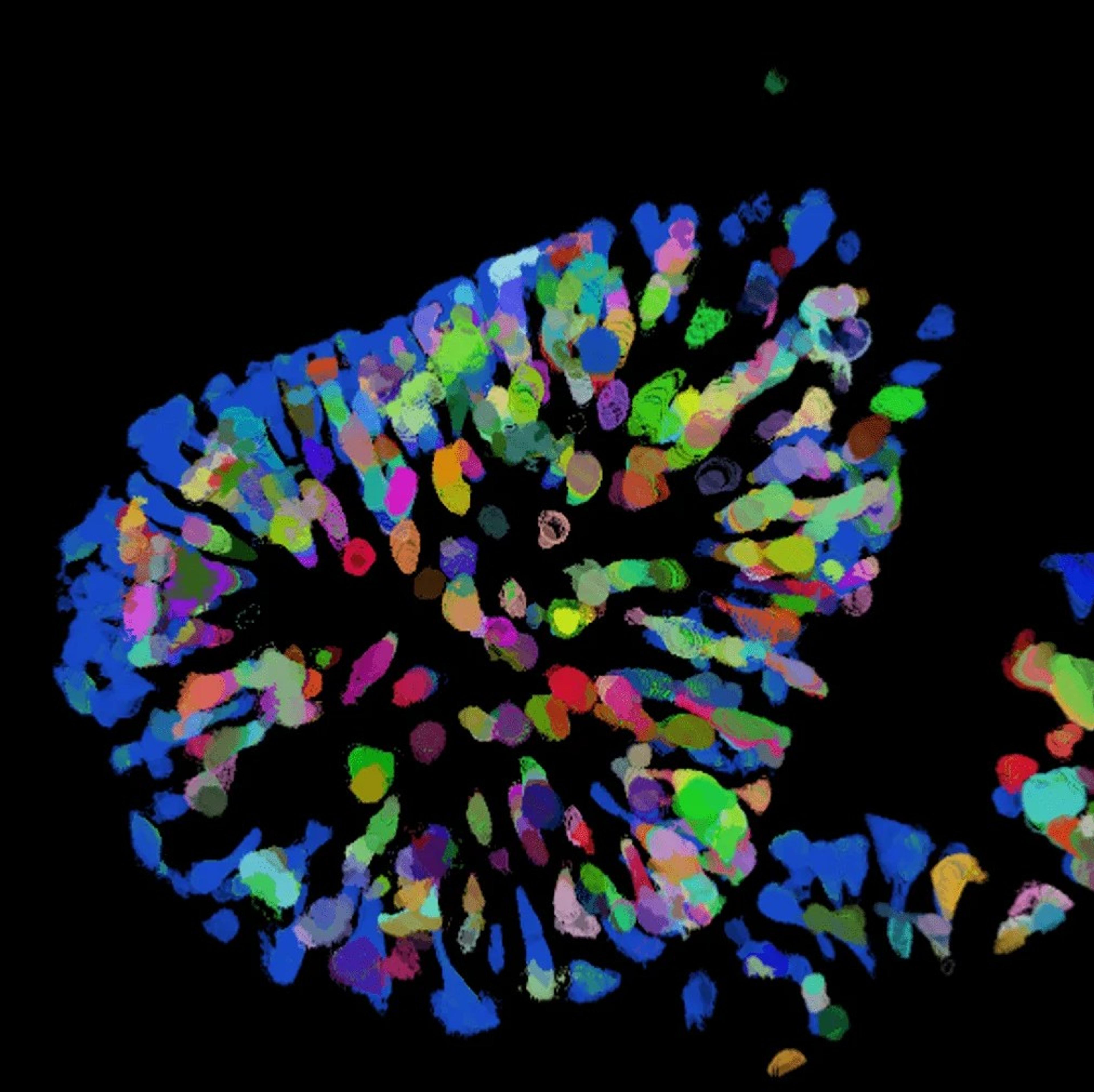 3D biology image