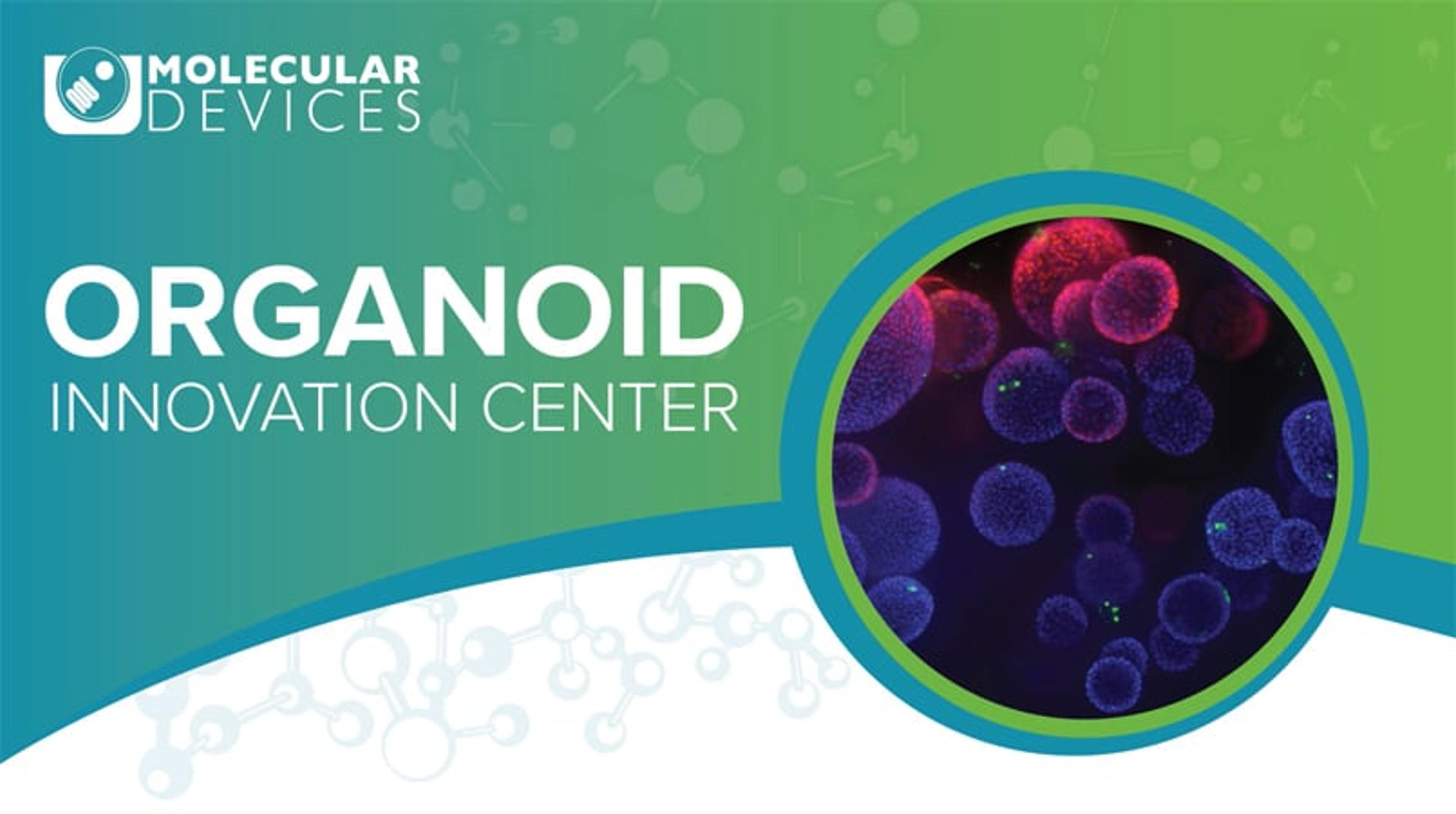 Introducing the Organoid Innovation Center Introducing the Organoid Innovation Center