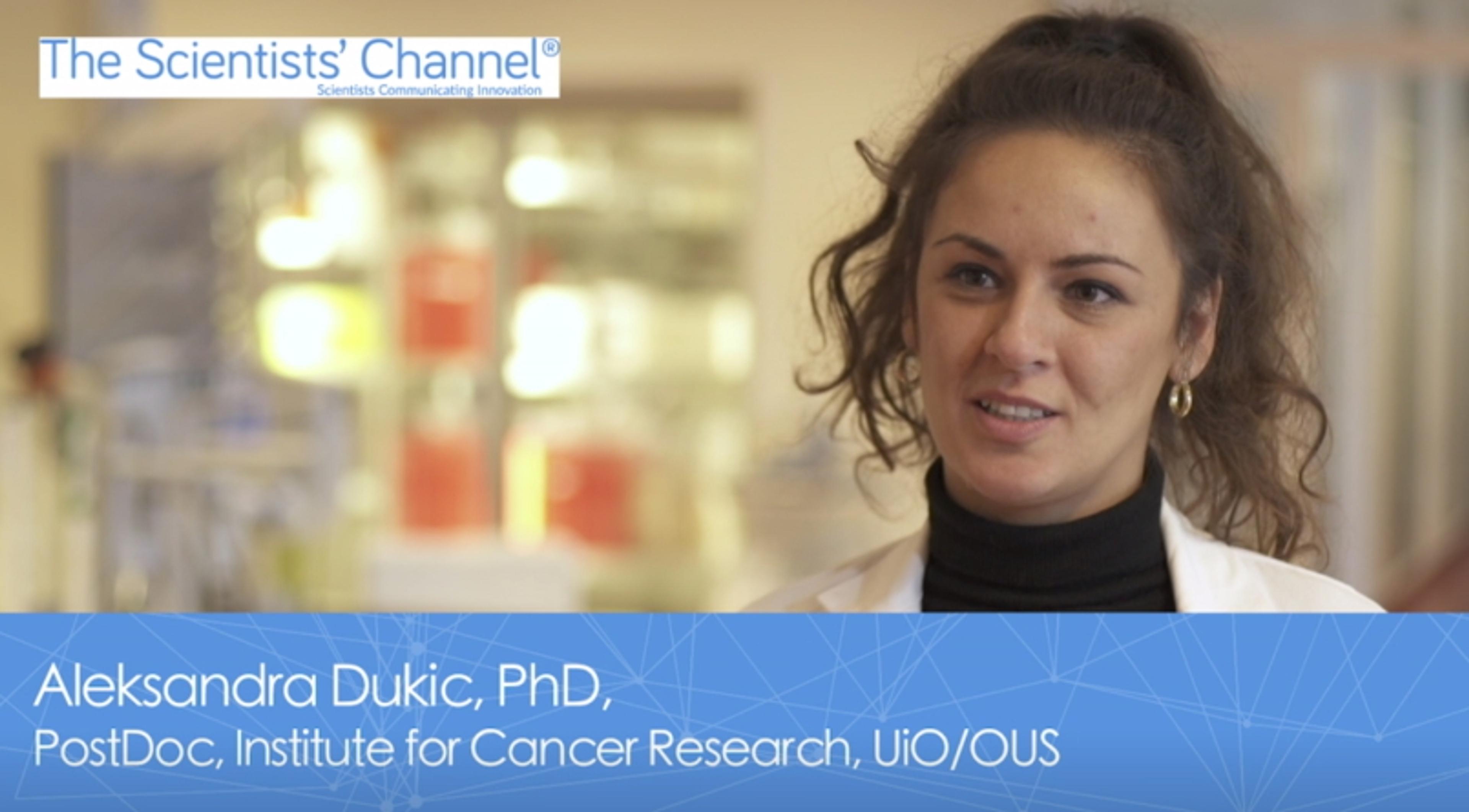 Life Sciences Video of the Year: A novel target to inhibit glioblastoma invasion Life Sciences Video of the Year: A novel target to inhibit glioblastoma invasion