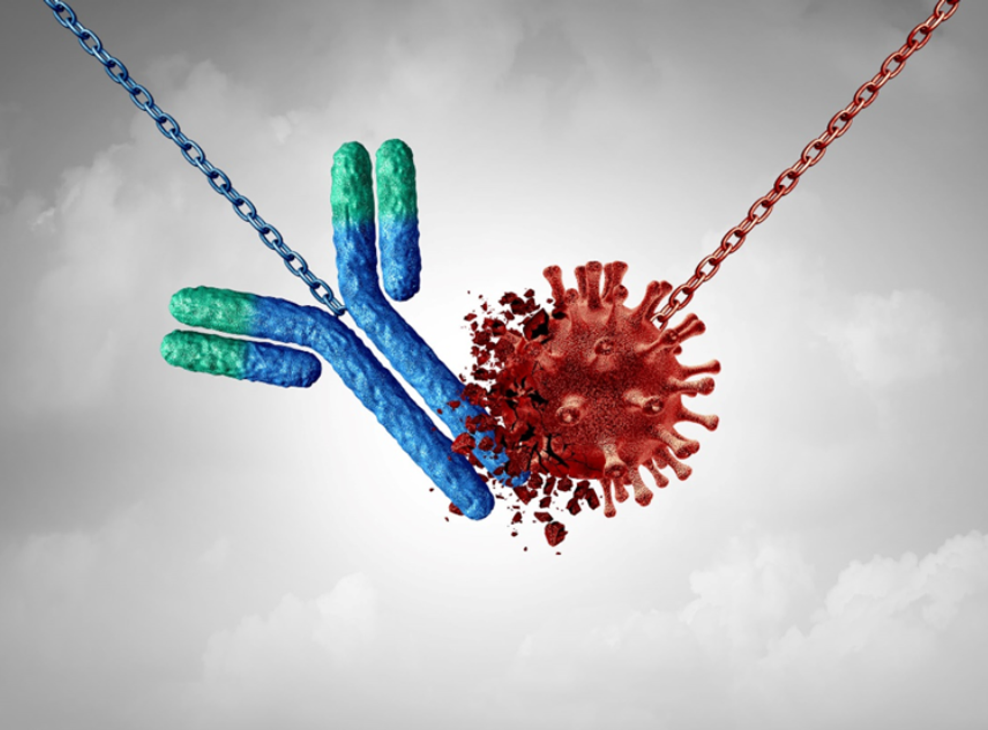 Purified antibodies enhance the precision of spatial biology studies by providing reliable data on cellular interactions within tissues. ©lightwise @123rf.com  