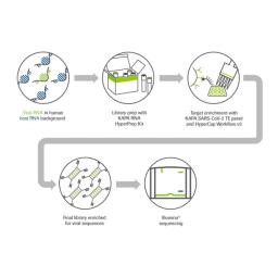 KAPA SARS-CoV-2 Panel Workflow