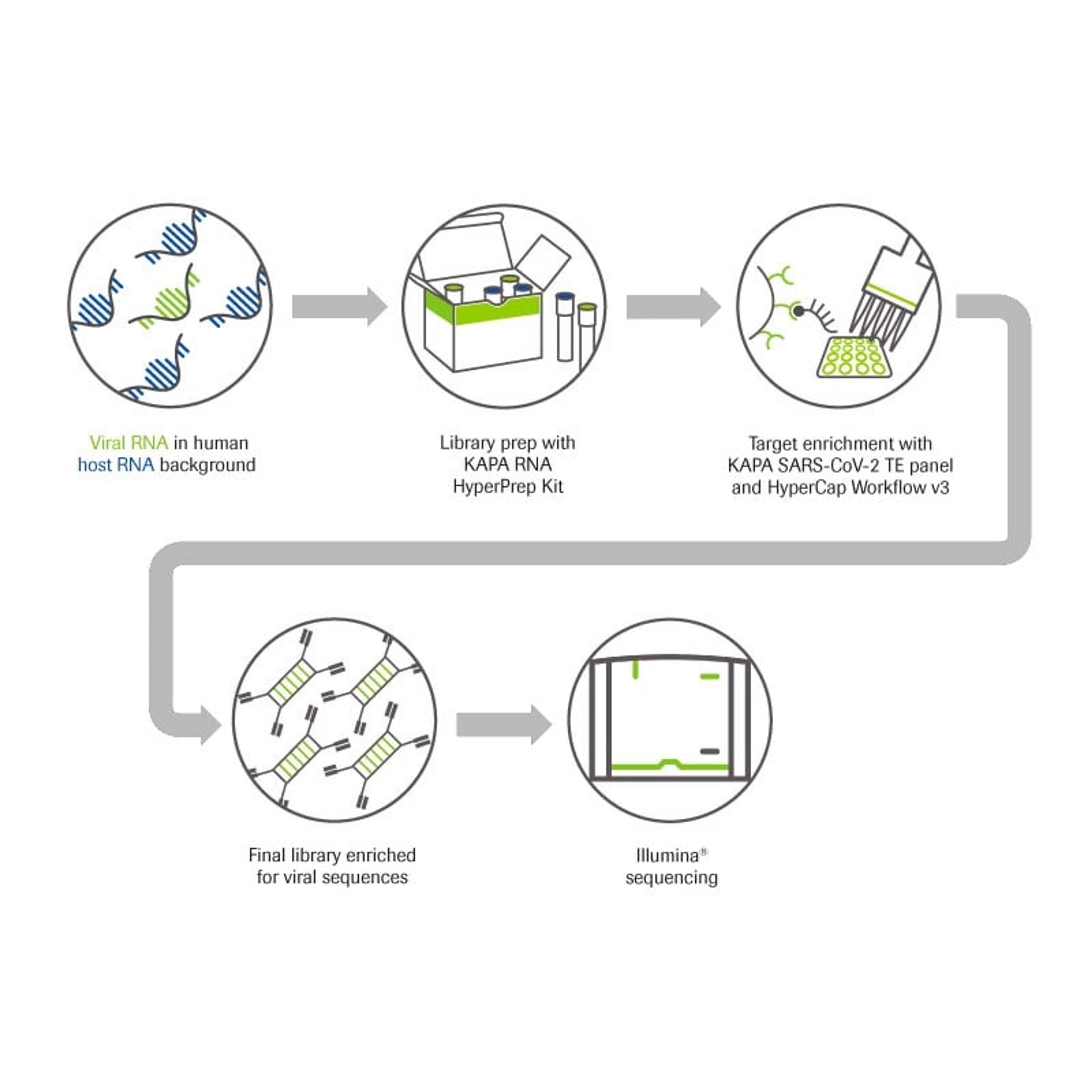 KAPA SARS-CoV-2 Panel Workflow