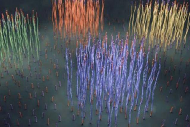 New insights into human disease that could propel drug development