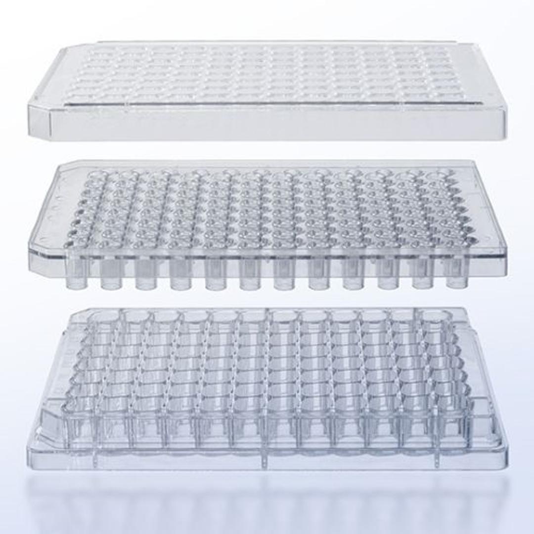 Membrane plate, receiver plate and lid of the ThinCert® HTS