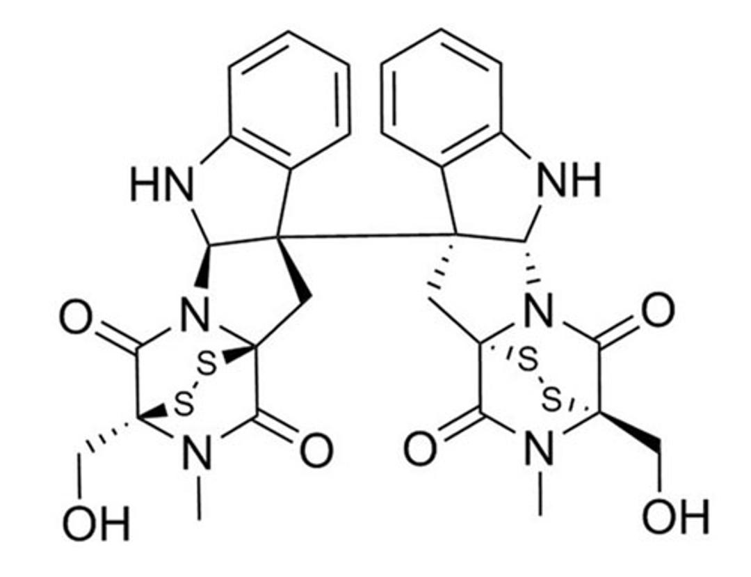 Chaetocin