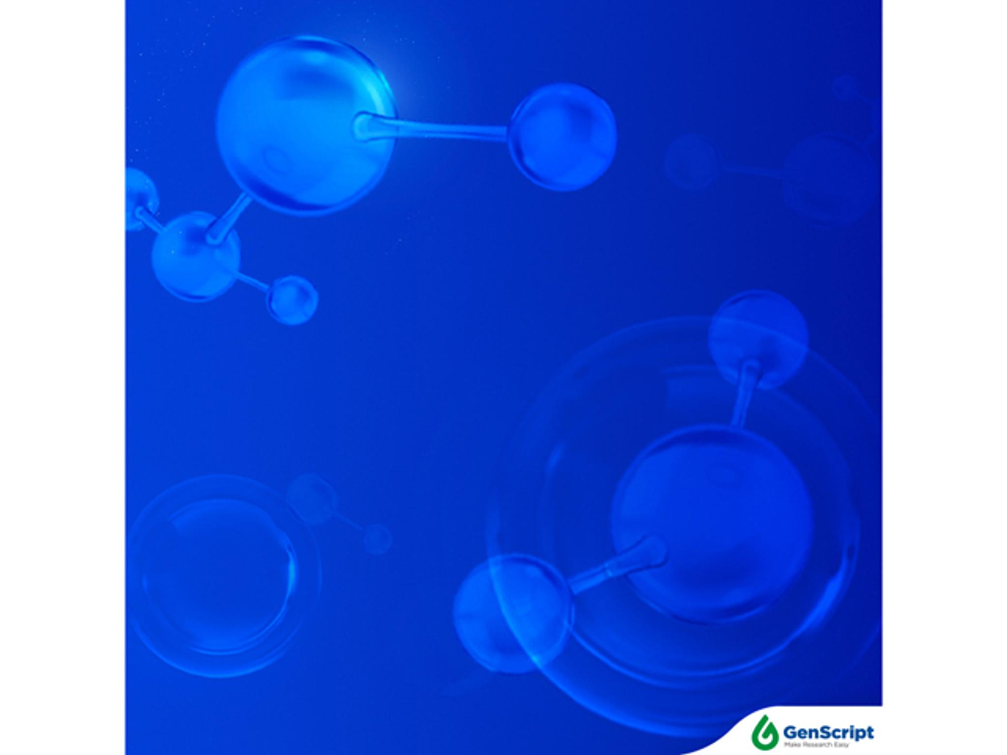 GenScript Products, Equipment and Reviews