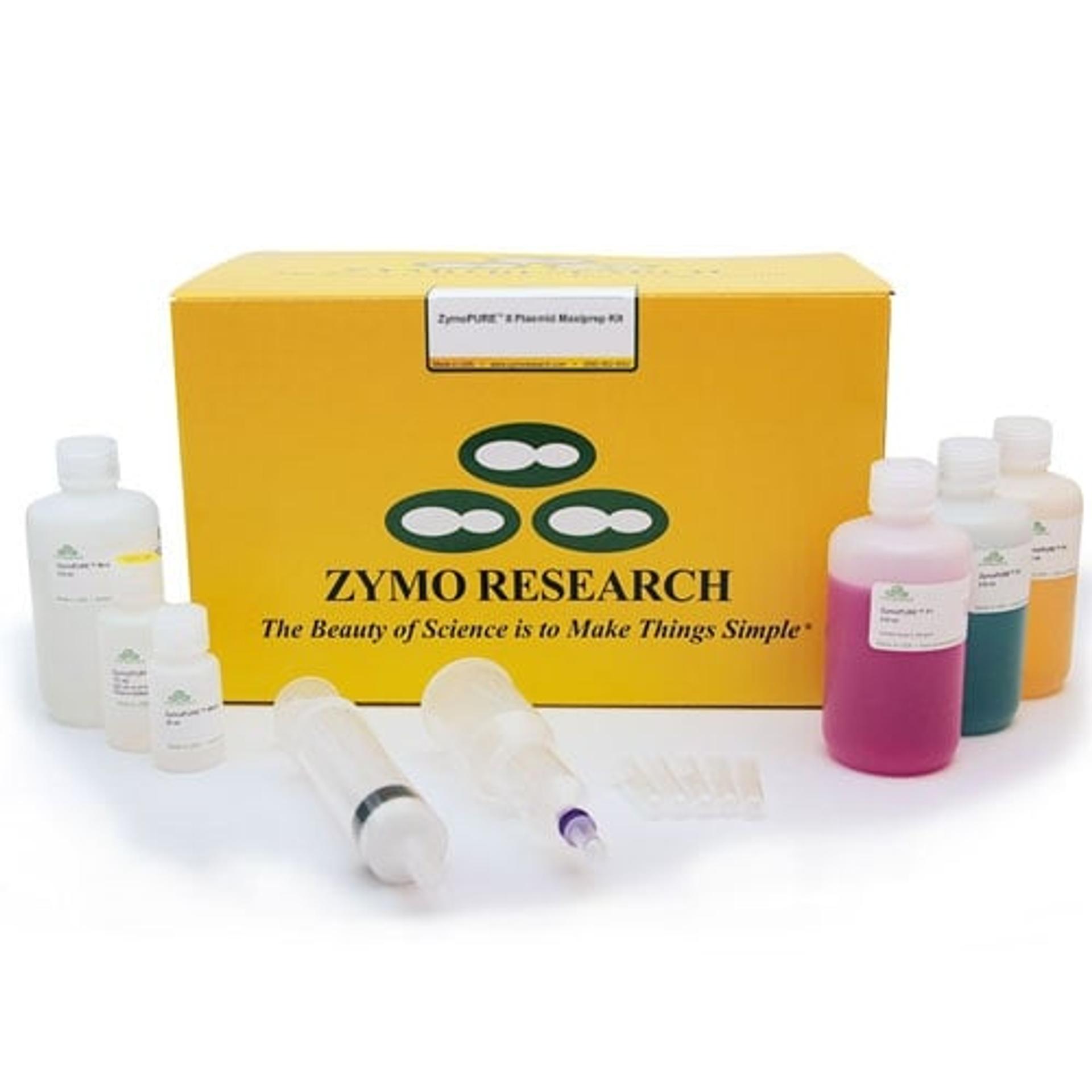 Maximizing transfection efficiency: The importance of plasmid DNA quality