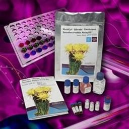 iQue Qbeads® Human Inflammation Panel Kit