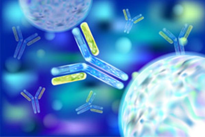 Recombinant monoclonal antibodies: Versatile tools for research, diagnostics, and disease therapy