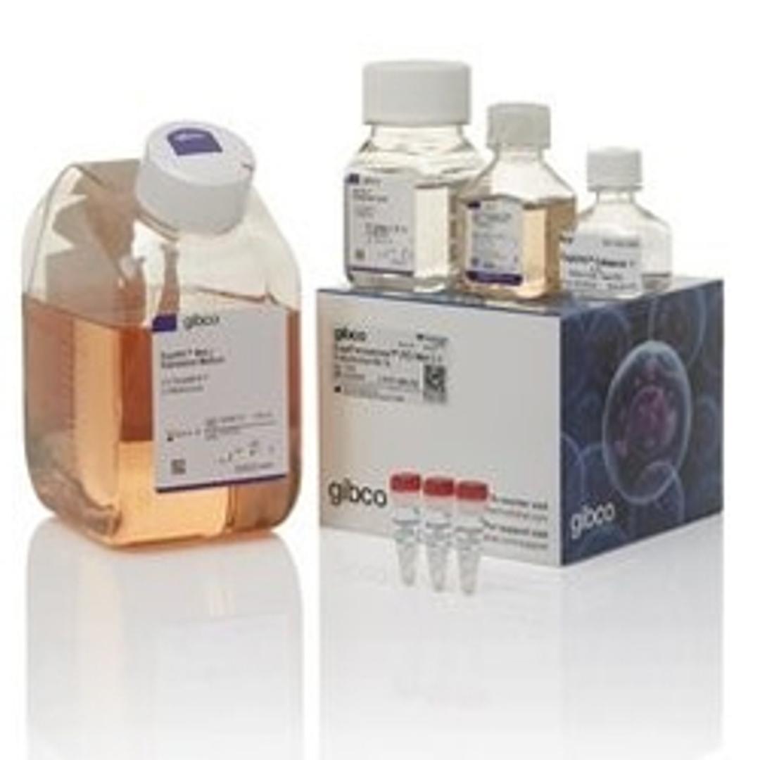 Expi293™ Met Protein Labeling Kit