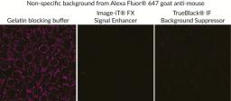 Comparison with other blocking buffers.