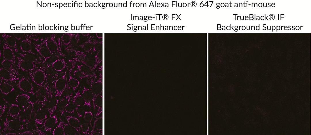 Comparison with other blocking buffers.