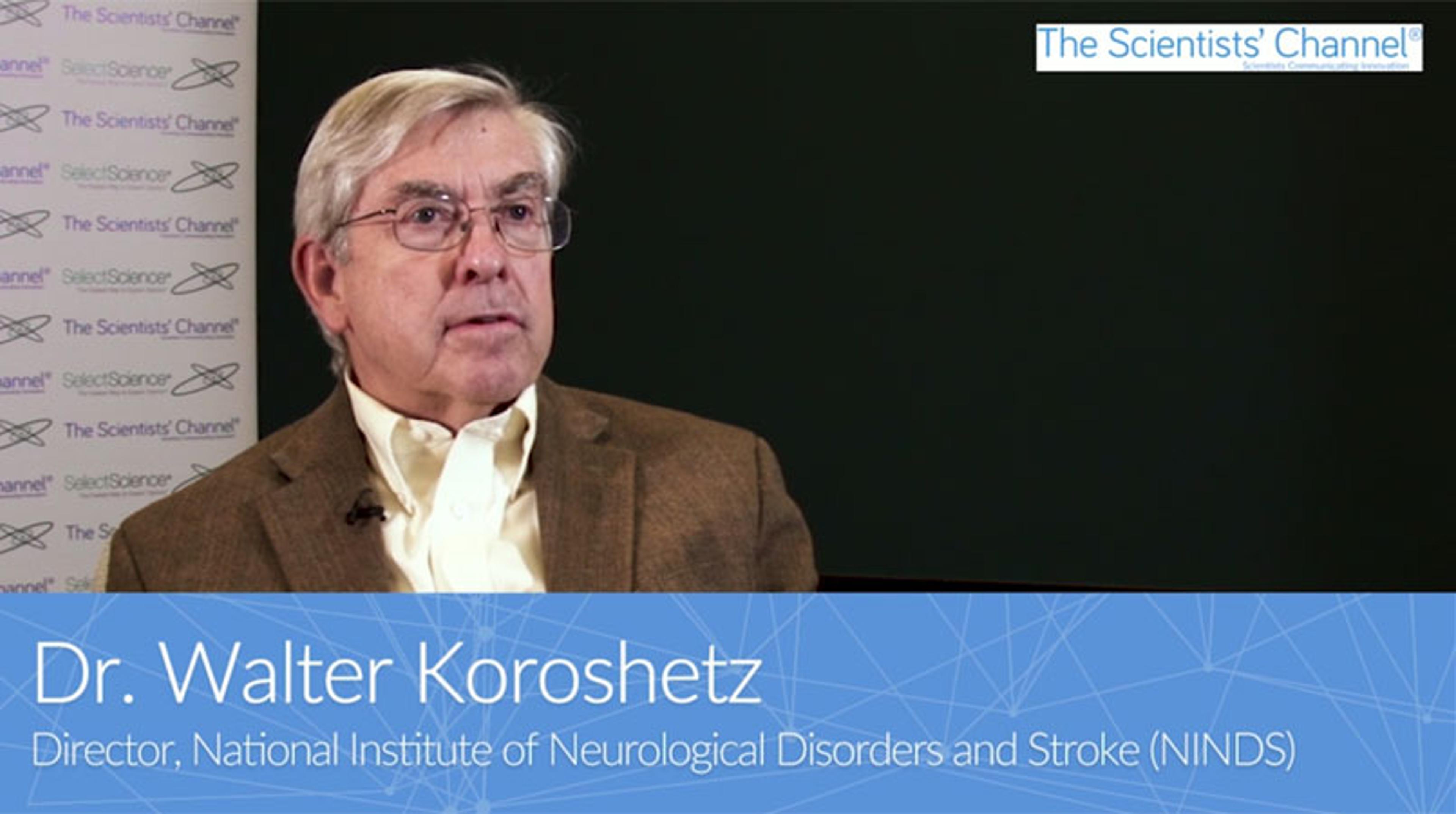 How a shift in focus to brain circuit activity research could offer better treatments for patients How a shift in focus to brain circuit activity research could offer better treatments for patients
