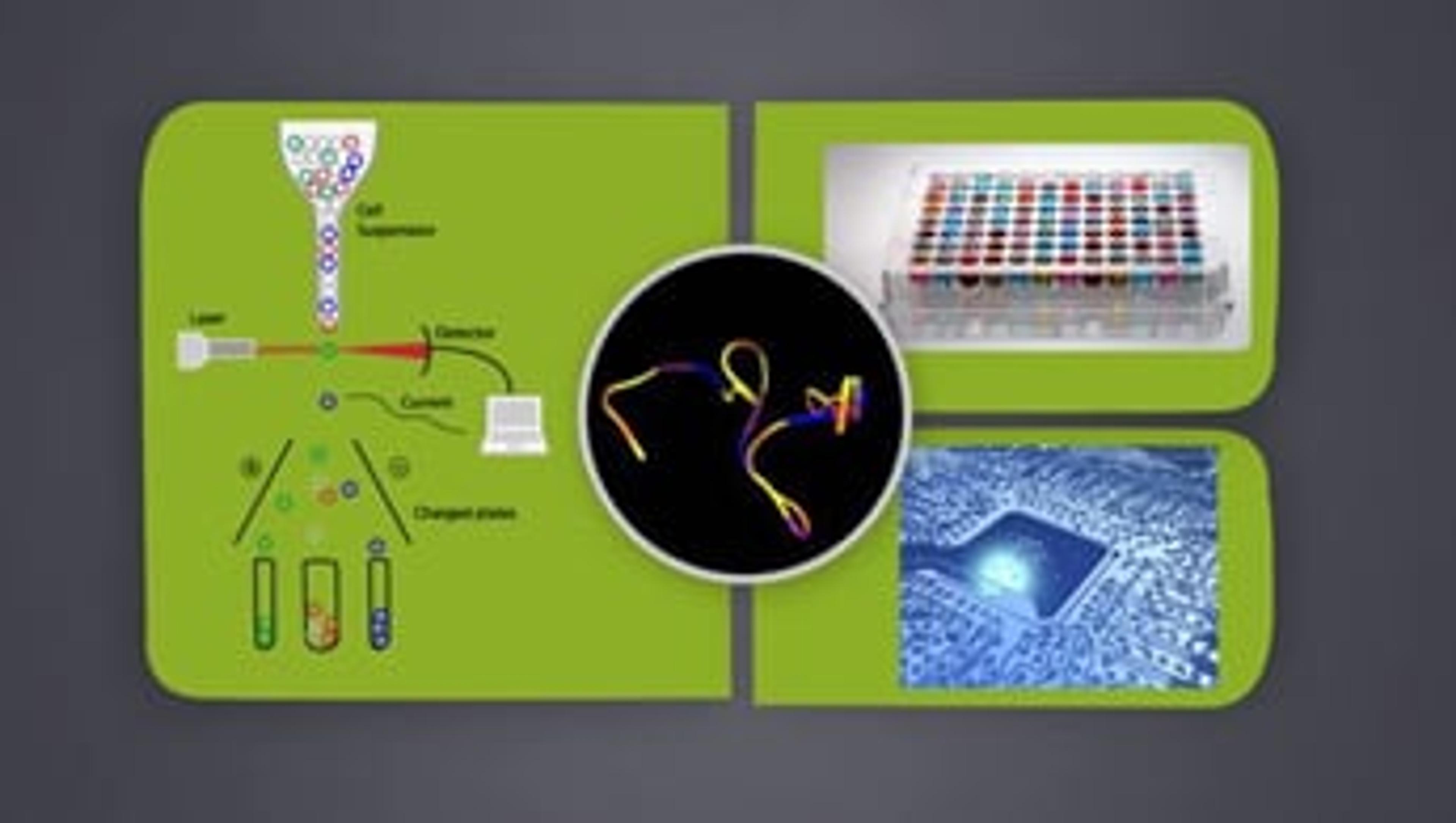 Custom Aptamers from Base Pair Biotechnologies Custom Aptamers from Base Pair Biotechnologies