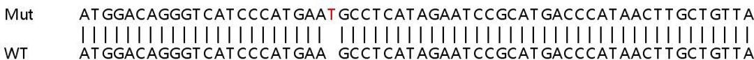 Sanger Seq - HDAC2 knockout HEK293T