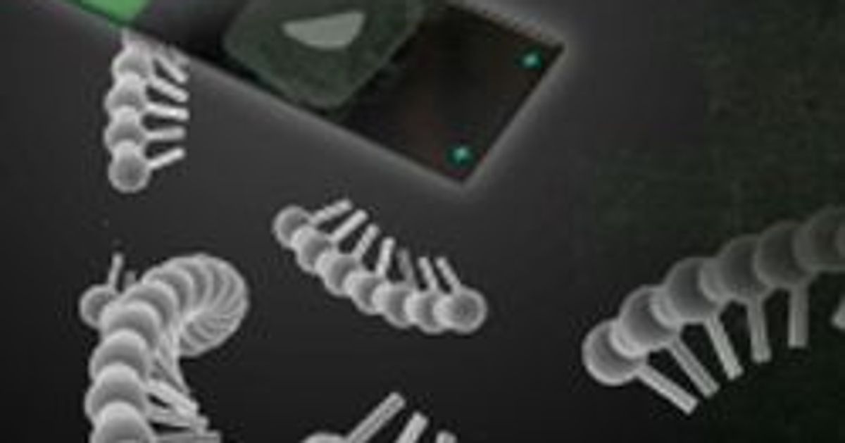 Clontech Laboratories Inc, Partners with Rubicon Genomics to Increase