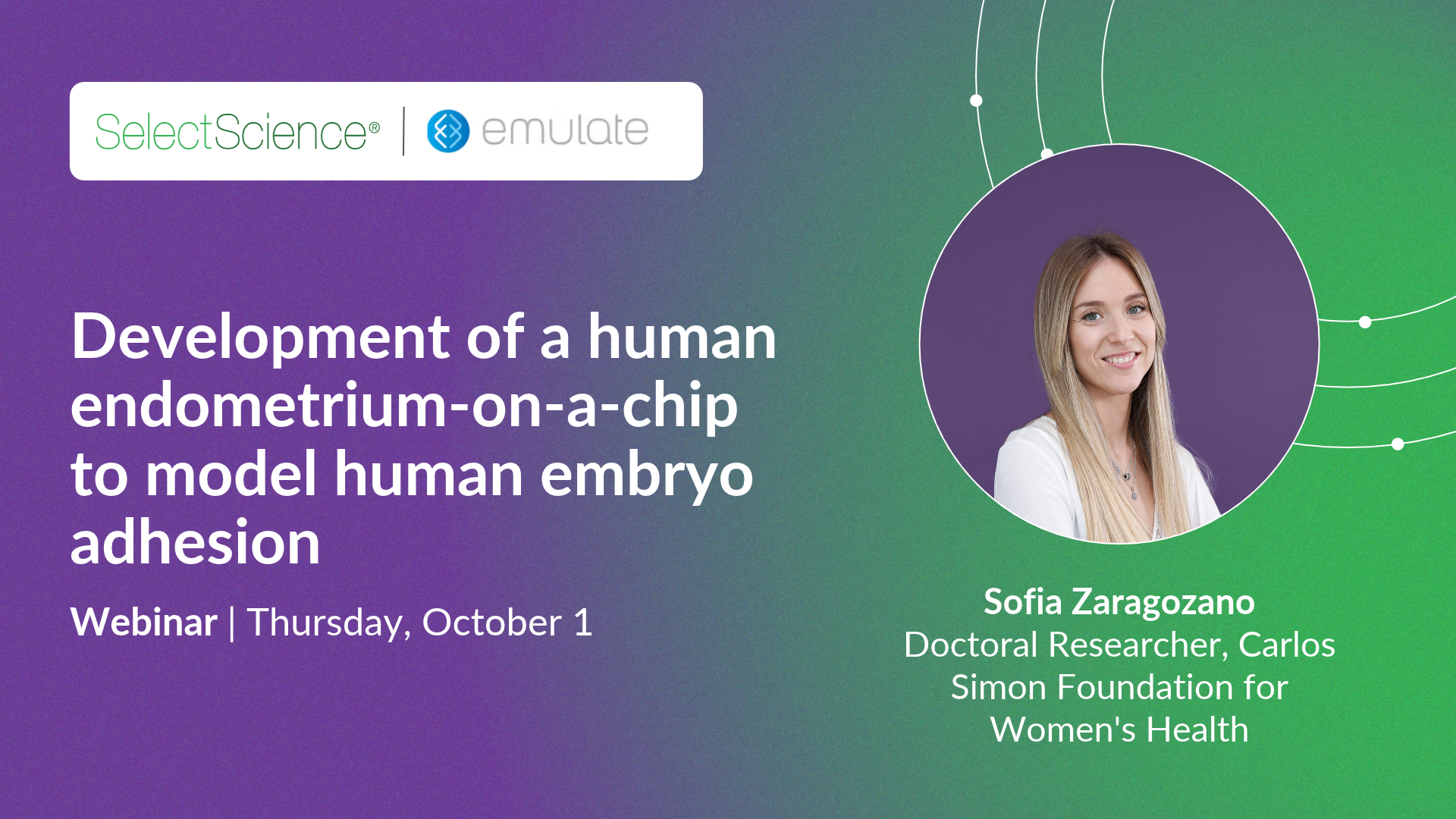 Development of a human endometrium-on-a-chip to model human embryo adhesion