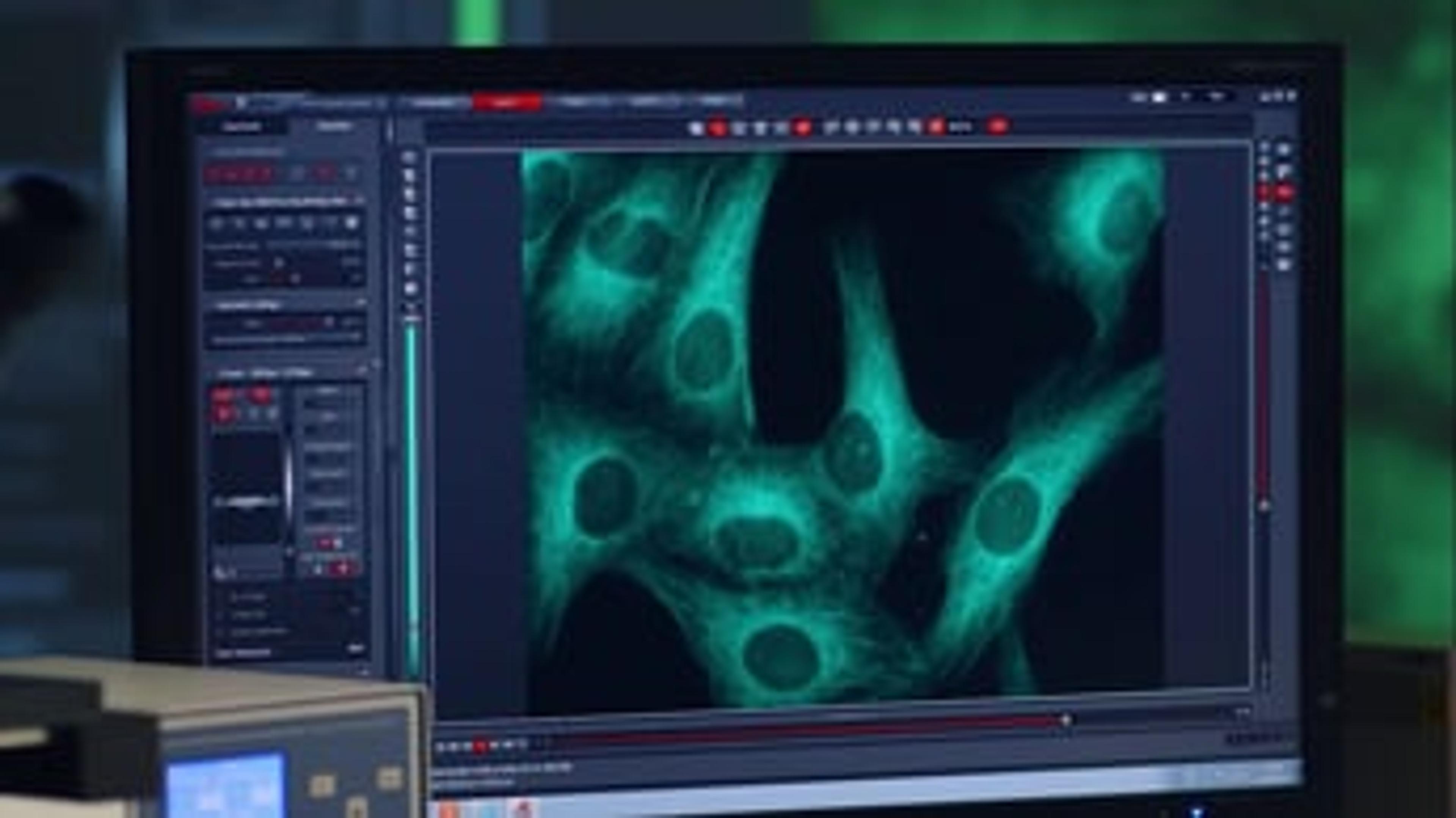 Leica Application Suite Advanced Fluorescence - What's New? Leica Application Suite Advanced Fluorescence - What's New?