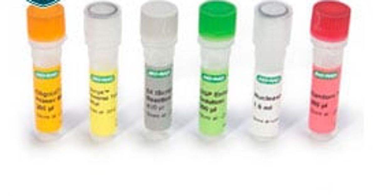 iScript™ Select cDNA Synthesis Kit, 100 x 20 µl rxns SelectScience