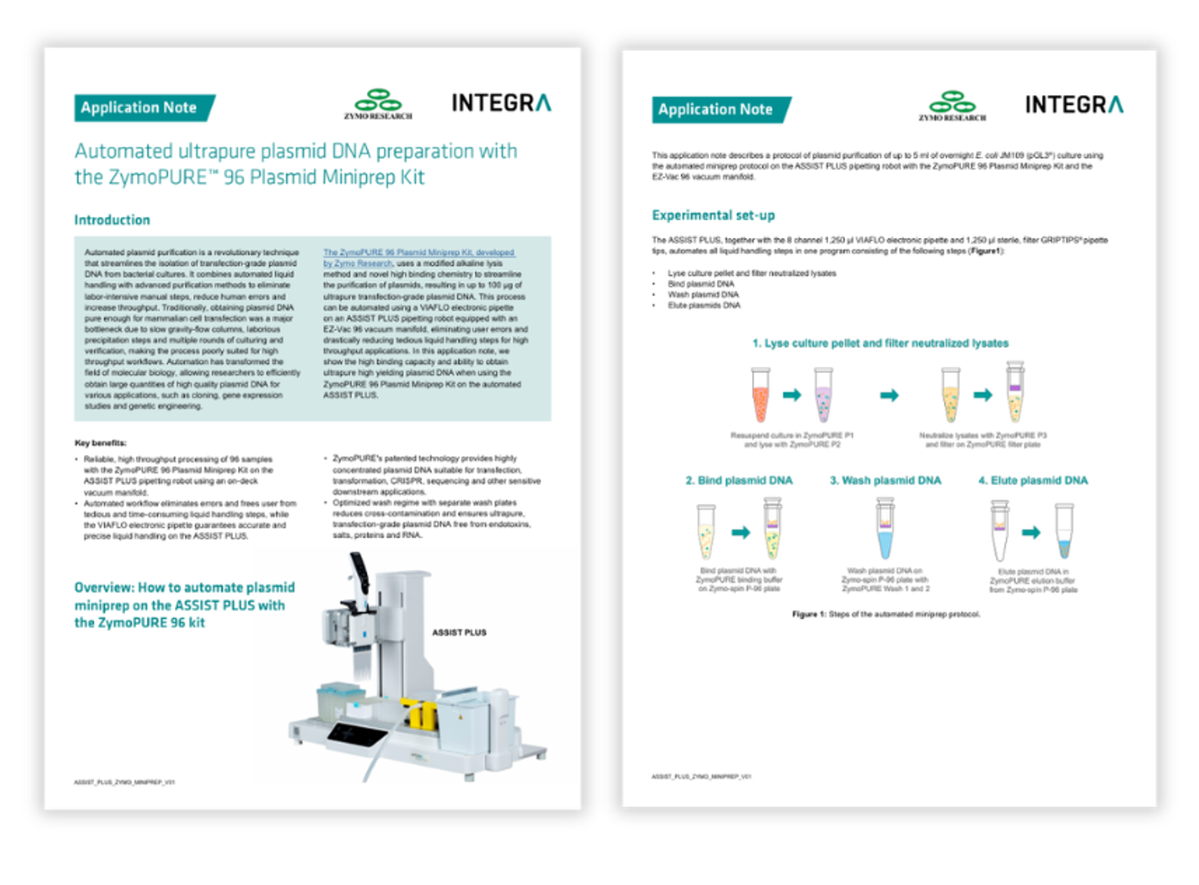 pipetting robot automating the ZymoPURE™ 96 Plasmid Miniprep workflow